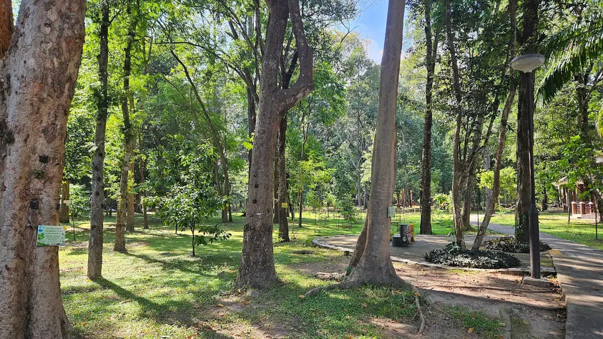 Huay Kaew Arboretum