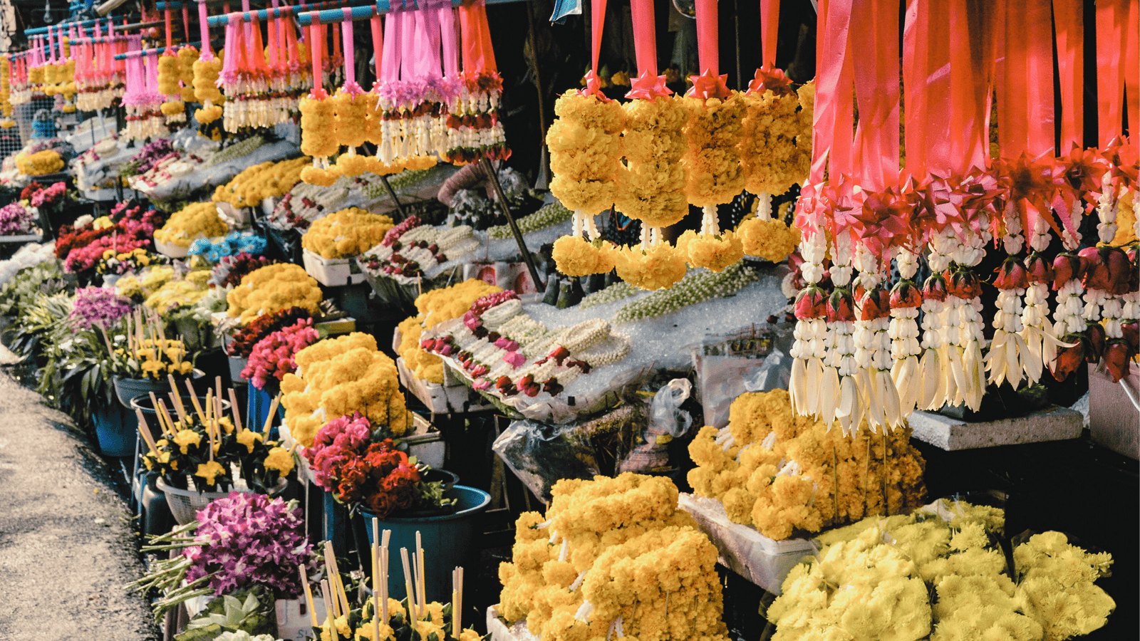 Our Favorite Chiang Mai Entrepreneurs & Local Businesses