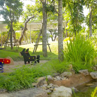 Wild Heart Chiang Mai