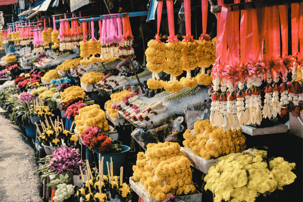 Our Favorite Chiang Mai Entrepreneurs & Local Businesses