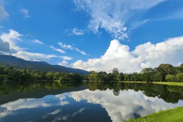 Explore the Best Parks in Chiang Mai for Families, Fitness & Fresh Air