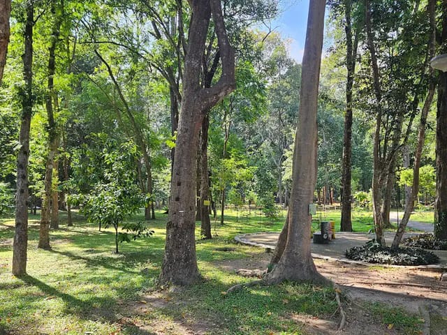 Huay Kaew Arboretum