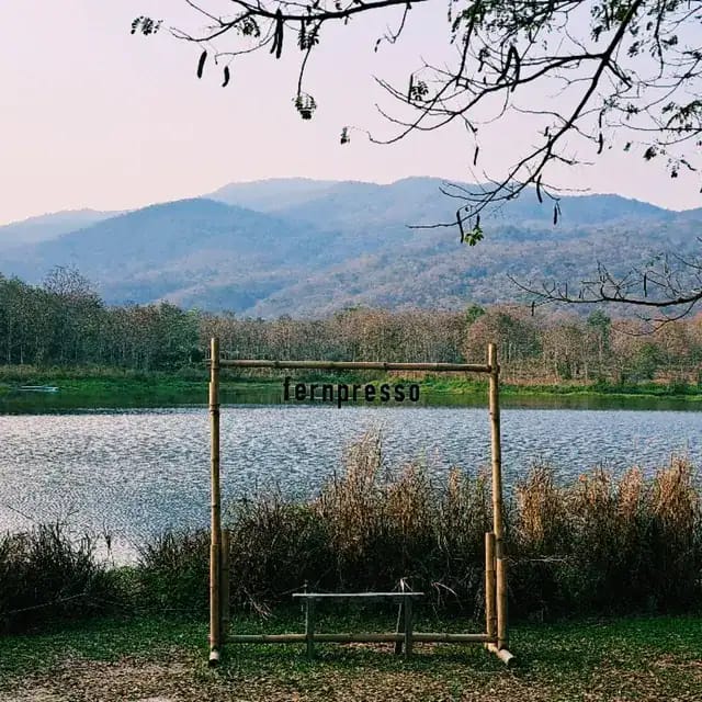 Fernpresso at Lake
