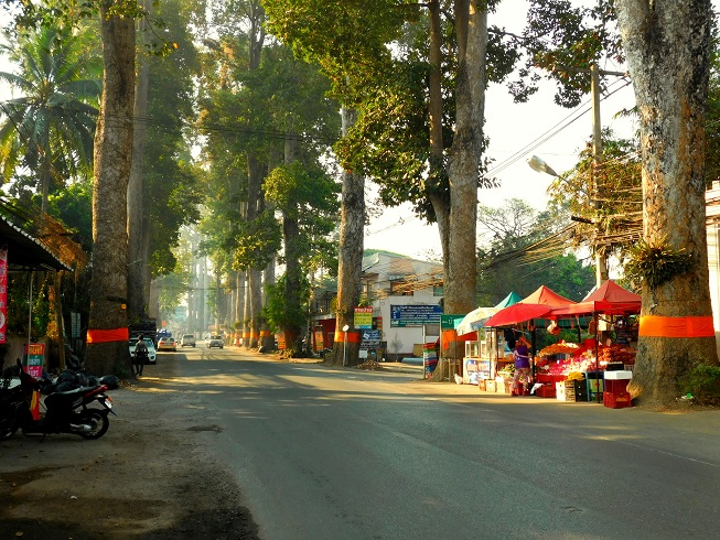 Nong Hoi
