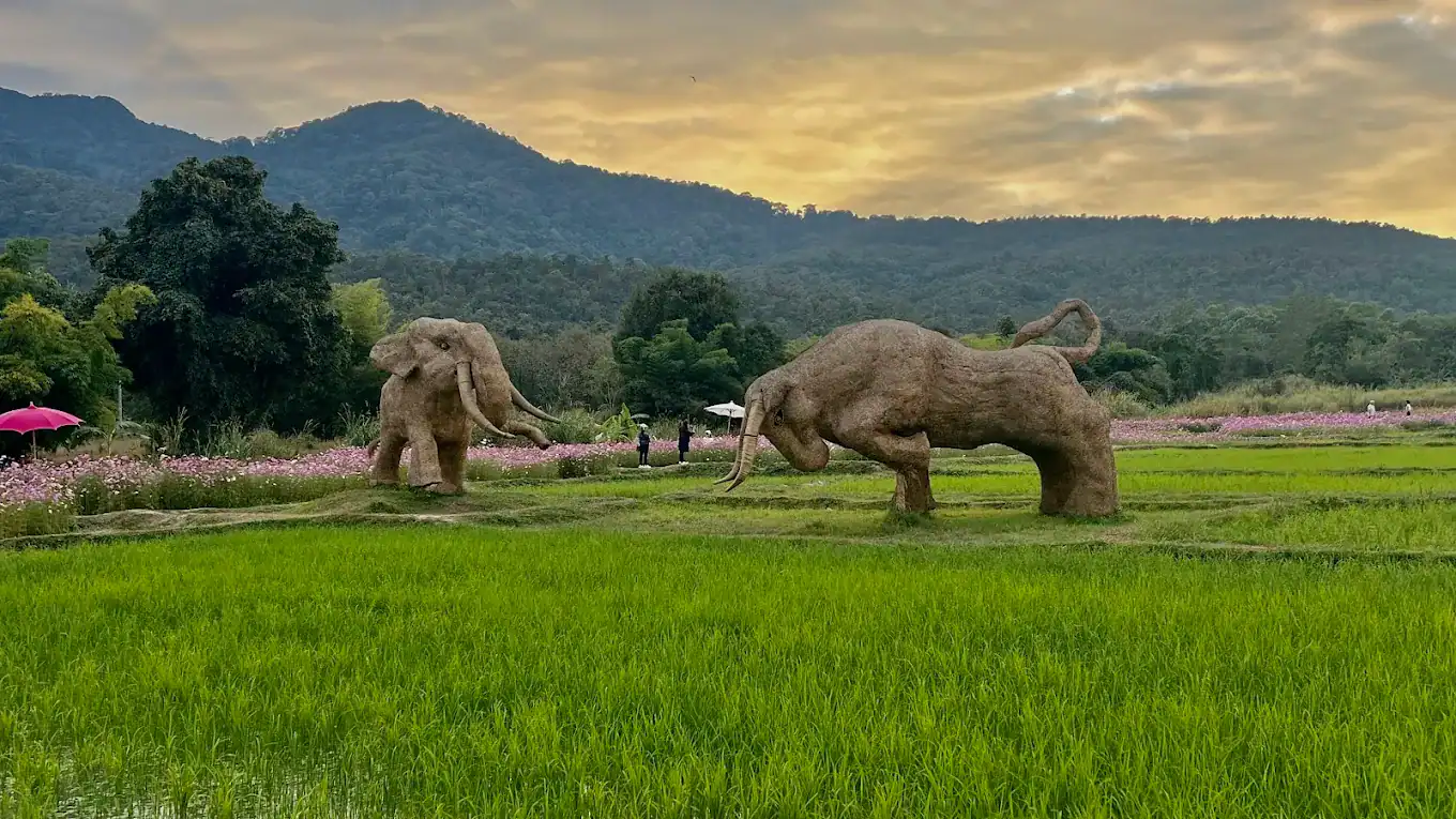 Huay Tueng Thao Reservoir