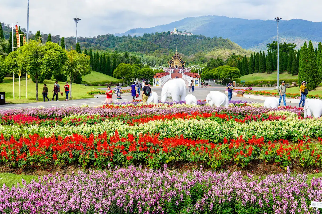 Royal Park Rajapruek